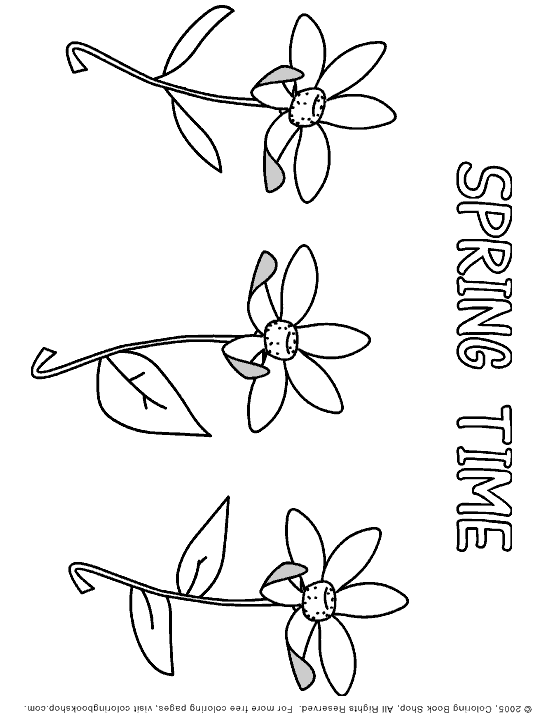 Spring flowers printable coloring page, by coloring book shop