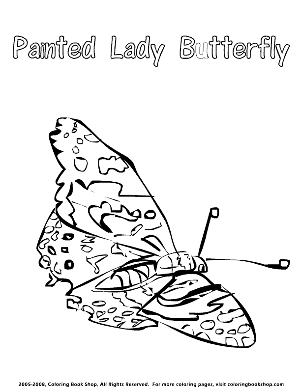 painted lady coloring page