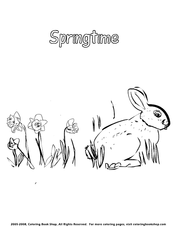 springtime bunny coloring page